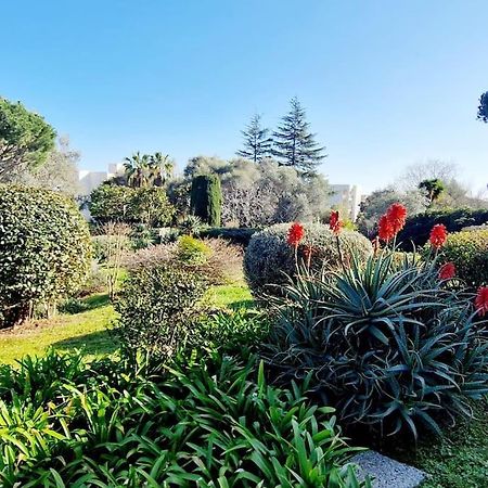 Studio Antibes Avec Piscine Eksteriør bilde