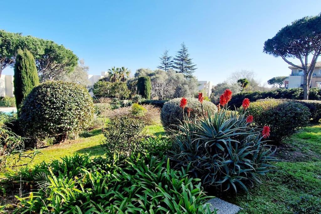 Studio Antibes Avec Piscine Eksteriør bilde