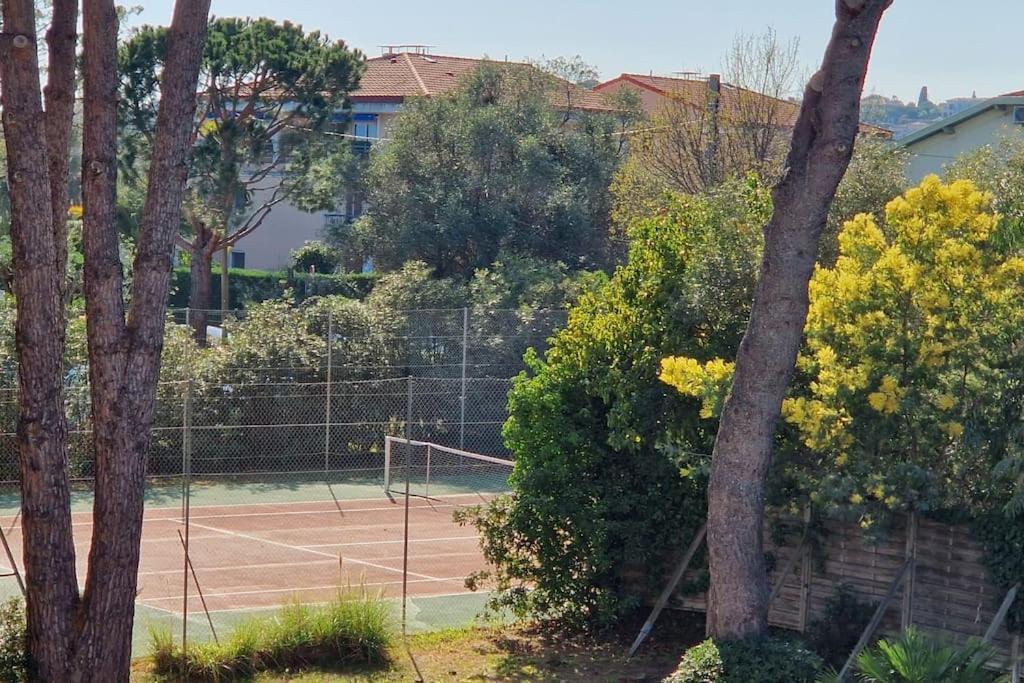 Studio Antibes Avec Piscine Eksteriør bilde